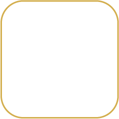 Organizational Agility and Digital Culture